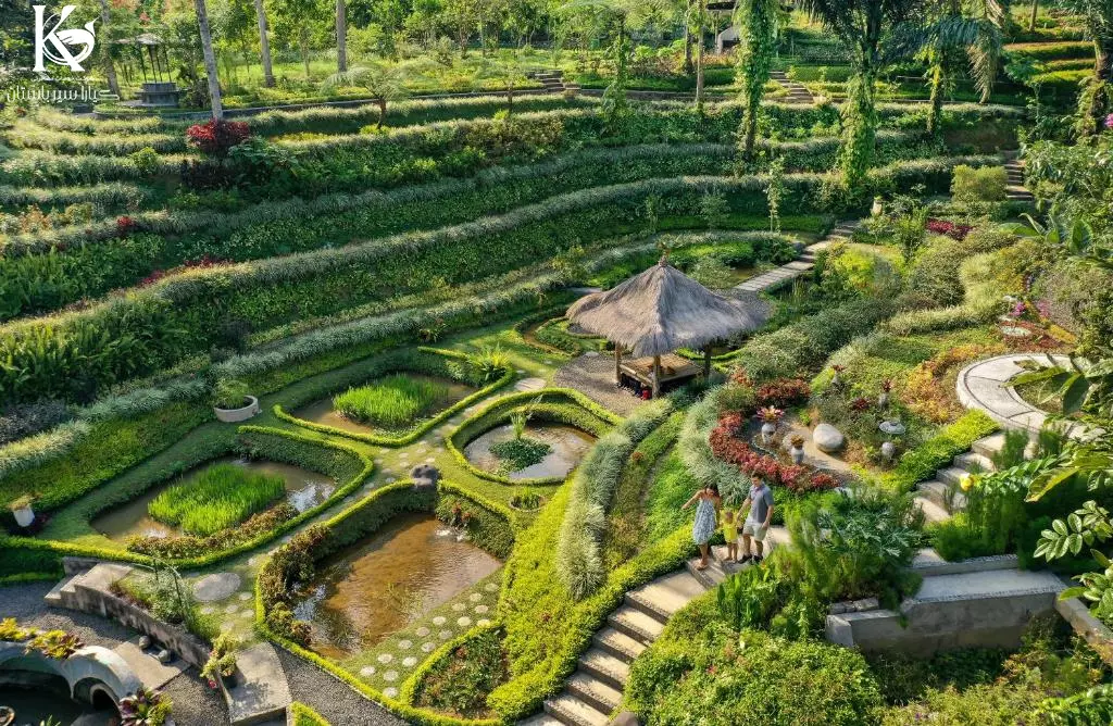 PADMA UBUD PADMA UBUD