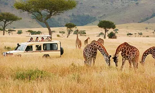 تور ترکیبی کنیا (9شب) زمستان1404 تور ترکیبی کنیا (9شب) زمستان1404