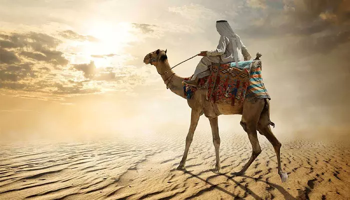 تفریحات شبانه قطر